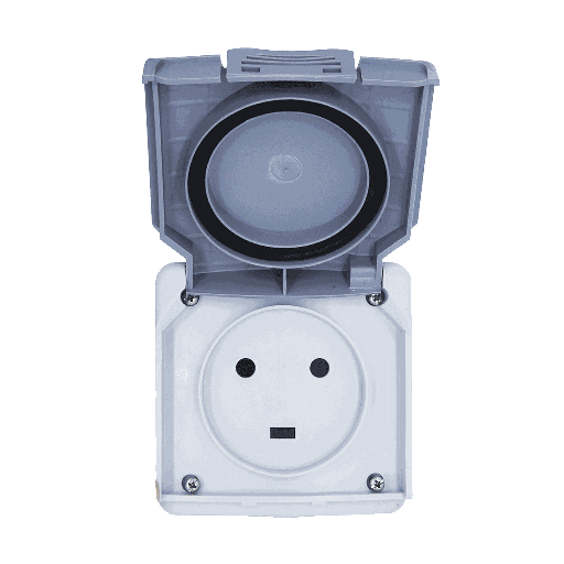 [EGUI174] SOCLE 2P+T 20A ETANCHE PLEXO IP55-IK08-A VOLET-84x77-GRIS 91655