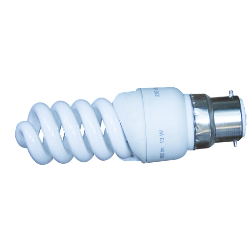 [ELA069] Ampoule eco B22 20W ground b