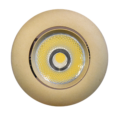 [ELT893] SPOT RT174 CPG-4500k-7w CHAMPAING GOLD