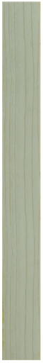 [PLM060] BANDE DE CHANT 15MMX1 erable clair1070600205/M