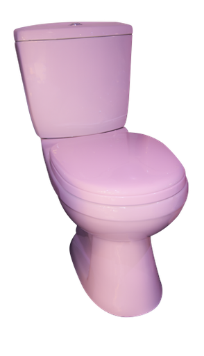 [SNW057] WC ANGLAISE COMPLET D/P DF102P HORIZ ROSE HLD