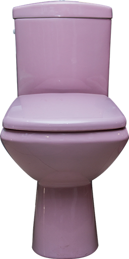 [SNW061] WC anglaise complet d/p DF132S verti rose hld