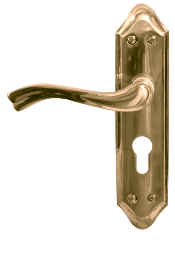 [SGJ124] Poignee porte Godrej ec 3242 po 200 L2 SS 46171598SD01506
