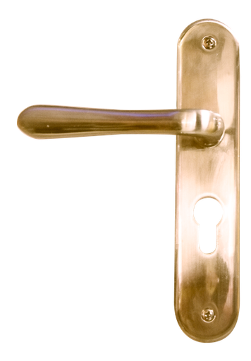 [SGJ127] Poignee porte Godrej ec 3241 po 200 L1 ab 46171598SD01503
