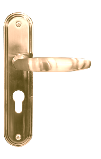 [SGJ130] Poignee porte Godrej ec 3257 po 200 L6 ab 46171598SD01515