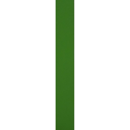 [PLM188] BANDE DE CHANT L100 m x W22 mm x T1.0 mmColor No. 6002-1 light green 1070600243