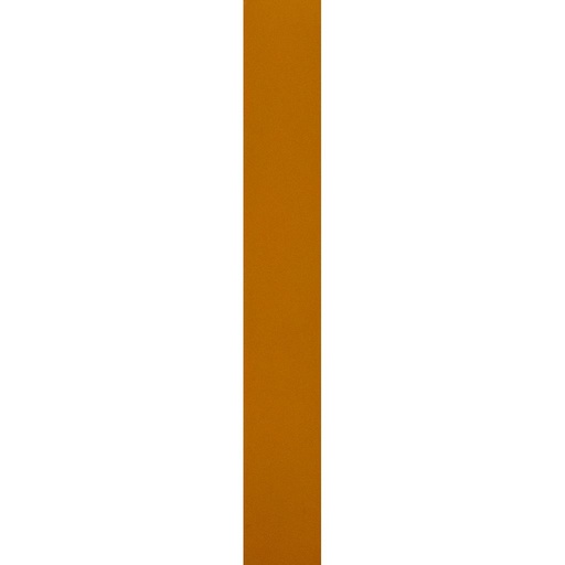 [PLM190] BANDE DE CHANT  L100 m x W22 mm x T1.0 mmColor No. H005-1 orange 1070600244