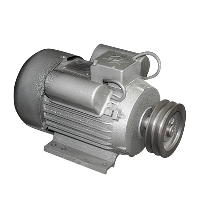 [AGE055] MOTEUR ELECTRIQUE ASYCHRONE ISOLANTE B2.2 kW AVEC POULIE 220 V/50 Hz2800 rpm.With pulley, brass material. EUROPOWER brand. MZ17070