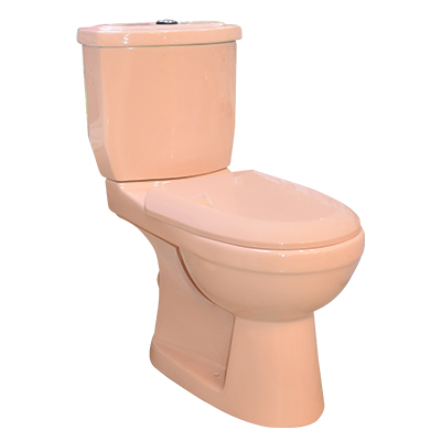 [SNW153] WC  INDE  COMPLET ROSE P HORIZONTAL (ORC)
