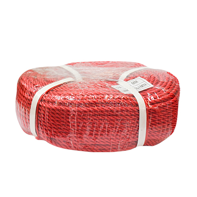 [QUG3131] CORDE NYLON 6MM ROUGE  100 YARD RLX 91,45M (UE)