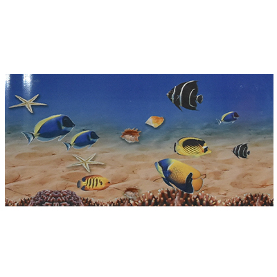 [CID954] DECOR MURAL 30X60 1255-HL1B (UE)