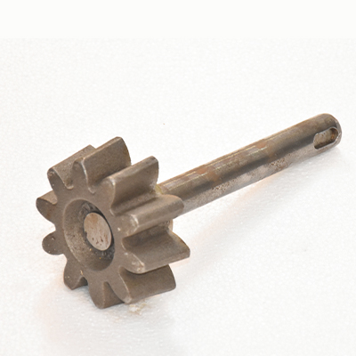 [EGE176] PIGNON AVEC AXE (500) A.00000.1163