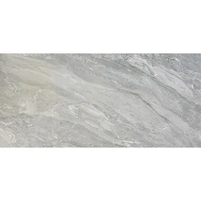 [CCS1474] Carreaux sol 60X120 gallura grey (RITL)